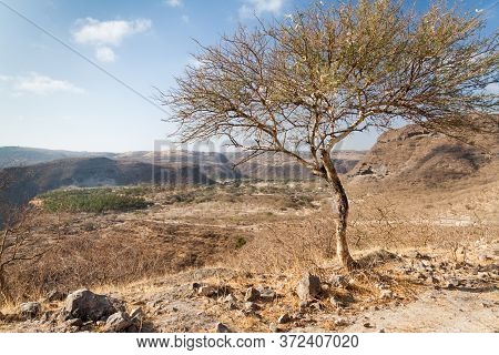 Landscape Of Wadi Dharbat Near Salalah, Oman