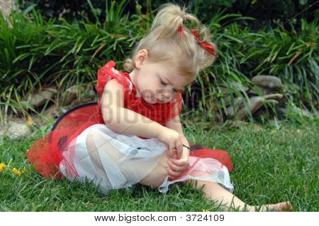 Baby Beruška