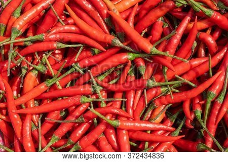 Top Iew Of Red Chilli Pepper Background.
