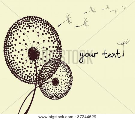 vector dandelions