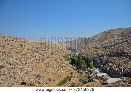 Wadi Kelt Or Nahal Prat, In The Judean Desert, Israel. Early Autumn In A Nature Reserve. Selective F