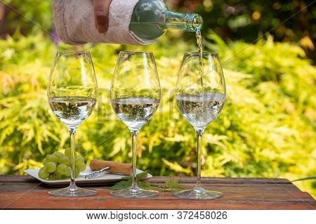 White Wine Tasting On Winery Terrace, Pouring Of Cold Dry Wine In Glasses Outdoor In Sunny Day