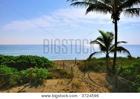 OceanView Beach