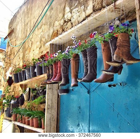 Waste-free Use Of Shoes In A Small Fishing Town. Boots With Flowers Growing In Them. Boots Are Flowe