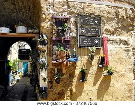 Waste-free Use Of Shoes In A Small Fishing Town. Boots With Flowers Growing In Them. Boots Are Flowe