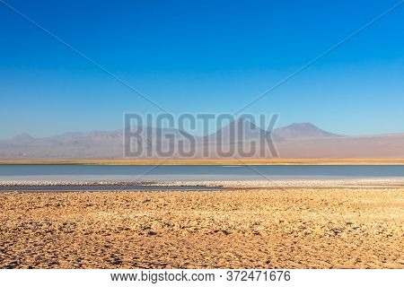 Cejar Lagoon And Licancabur Volcano In Atacama, Chile.