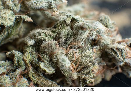 Cannabis Weed Bud Macro. Thc Kief In Grinder. White Background Vartical Shot.