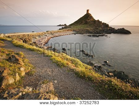 Isola di sanguinarie