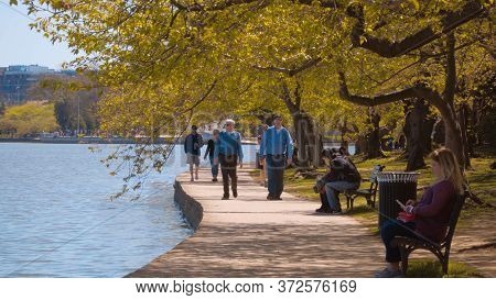 Walking At The Tidale Basin In Washington Dc - Washington, United States - April 8, 2017