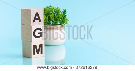 Agm - Annual General Meeting - Acronym On Wooden Cubes On Blue Backround. Business Concept.