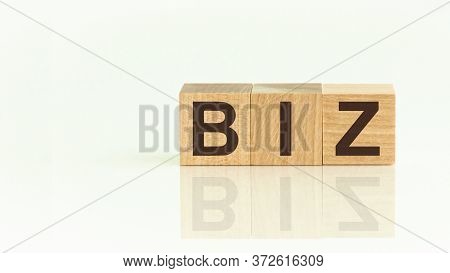 Wooden Blocks With The Text: Biz. The Text Is Written In Black Letters And Is Reflected In The Mirro
