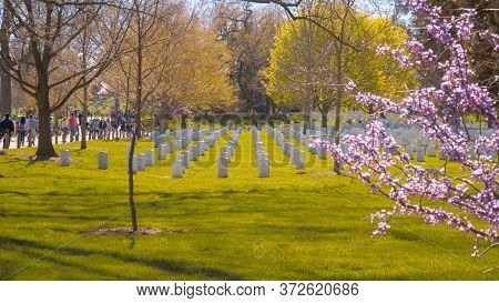 Famous Arlington Cemetery In Washington Dc - Washington, United States - April 8, 2017