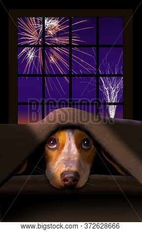 A Cute Little Beagle Dog Cowers Under A Blanket As Fireworks Explode Outside The Window Behind Him.