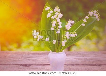 Spring Flower Lily Of The Valley. Lily Of The Valley. Flower Spring Sun White Green Background Horiz