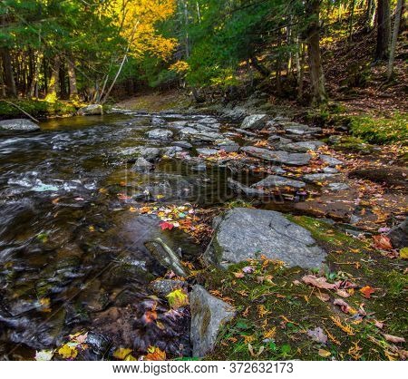 Autumn River Landscape. River With Fall Leaves On The Bank Flows Through The Lush Forest Of The Nort