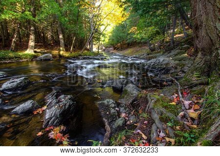 Autumn River Landscape. River With Fall Leaves On The Bank Flows Through The Lush Forest Of The Nort