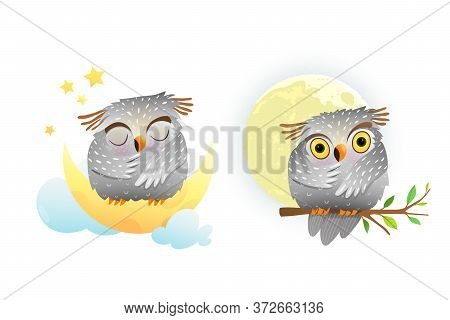 Cute Owl Sleeping Vector Photo Free Trial Bigstock