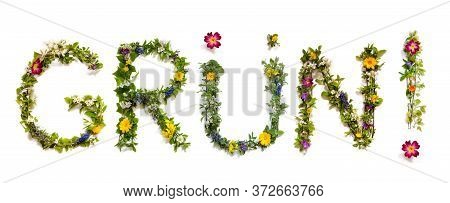 Flower And Blossom Letter Building Word Gruen Means Green