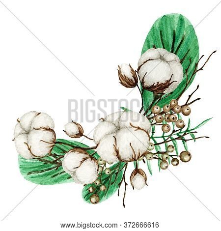 Watercolor Cotton Frame Bouquet. Botanical Hand Drawn Eco Wedding Card Illustration. Cotton Flowers 
