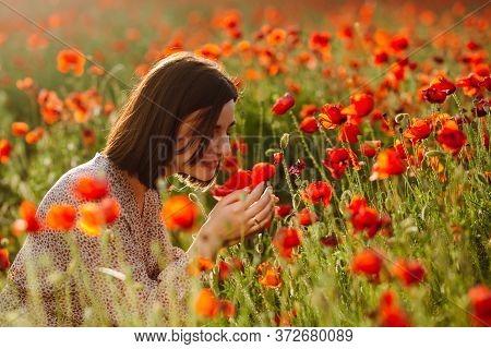 A Girl Sits Smiling Amoung Red Poppy Flowers On The Field And Enjoys Smelling Them. Young Woman Bein