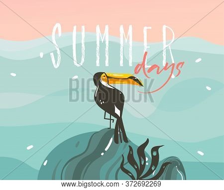 Hand Drawn Vector Stock Abstract Graphic Illustration With A Tropical Exotic Toucan Bird And Typogra