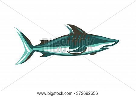 Hand Drawn Vector Abstract Stock Flat Graphic Illustration With Underwater Swimming Shark Drawing Is