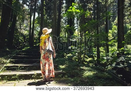 traveling Asian woman hiking in the forest at Xitou, Nantou, Taiwan
