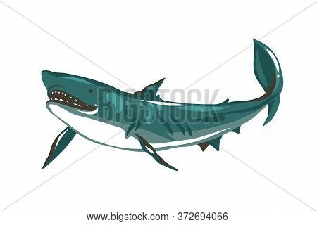 Hand Drawn Vector Abstract Stock Flat Graphic Illustration With Underwater Swimming Shark Drawing Is