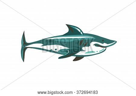 Hand Drawn Vector Abstract Stock Flat Graphic Illustration With Underwater Swimming Shark Drawing Is
