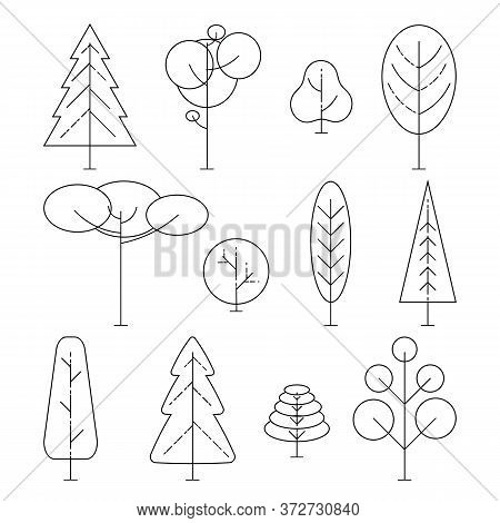 Different Trees On A White Background. Vector Line Icon Set. Element For Ecology Or Nature Logo. Vec