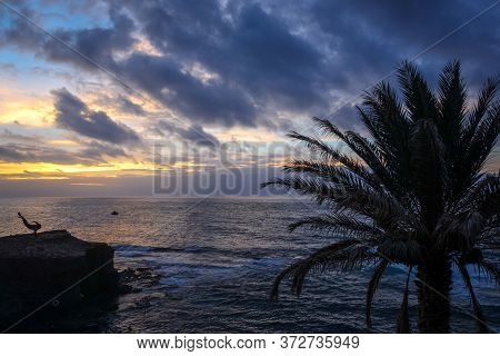 Ocean View And Palm Tree At Sunset In Santo Antao Island, Cape Verde, Africa