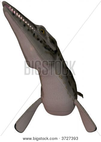 LEPIDOSAURIOS Mosasaurio-3D