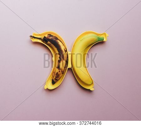 Dark Banana Spoiled Over Time And Yellow Banana In The Spacial Banana Box, Isolated On Pink Backgrou