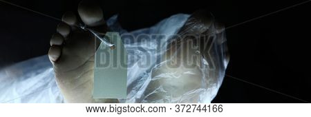 Close-up View Of Human Feet With Toe Label On Morgue Table. Sign With Copy Space For Text Or Informa