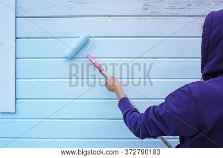 Woman Using Paint Roller To Paint Wall In Blue Paint