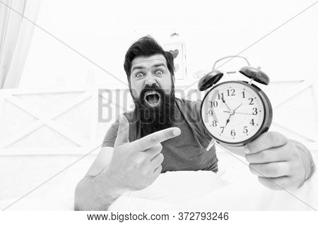 What Time Is It. Stressed Man Alarm Clock. Sleepy Man Holding Alarm Clock In Bed. Bearded Man With A