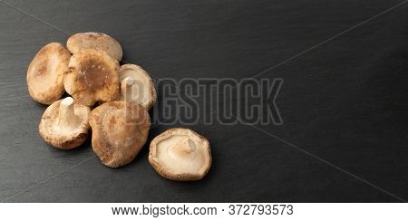 Fresh Shiitake Mushrooms, Raw Shitake, Healthy Organic Asian Fungi