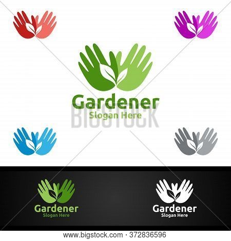 Gardener Care Logo Gardener Logo With Green Garden Environment Or Botanical Agriculture Vector Desig