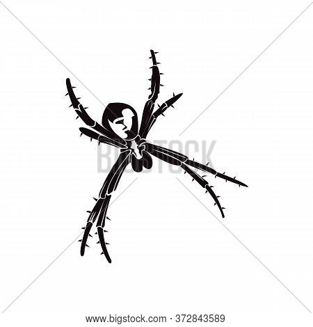 Black Spider Silhouette On A White Background