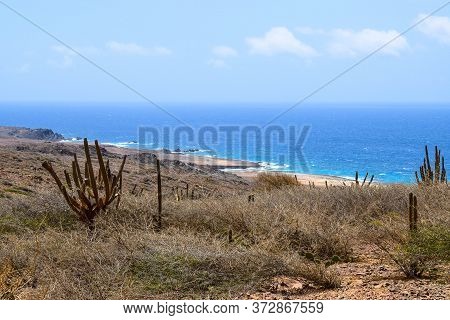 Arikok Natural Park On The Island Of Aruba In The Caribbean Sea With Deserts And Ocean Waves On The