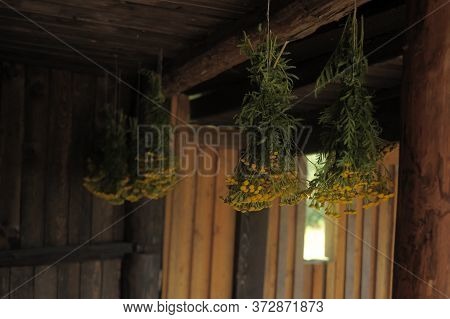 Dried Herbs And Flowers In A Wooded Hut, Vintage