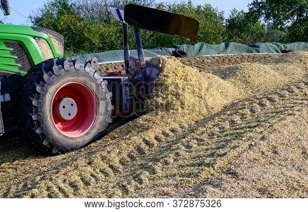 Corn Crop, Corn Silage Pile With Tractor Stuck