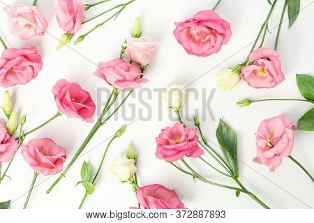 Composition With Beautiful Eustoma Flowers On White Background, Top View