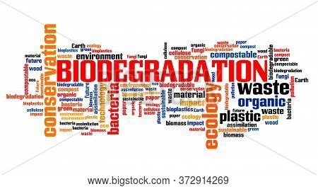 Biodegradation Concept Word Cloud Collage. Biodegradation Text Sign.