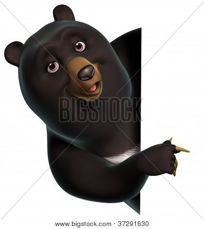 Černý medvěd