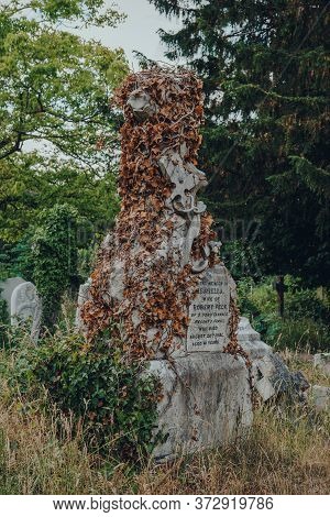 London, Uk - June 16, 2020: Tombstone Covered In Dried Ivy Inside Hampstead Cemetery, A Historic Cem