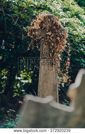 London, Uk - June 16, 2020: Celtic Cross Covered In Ivy Inside Hampstead Cemetery, A Historic Cemete