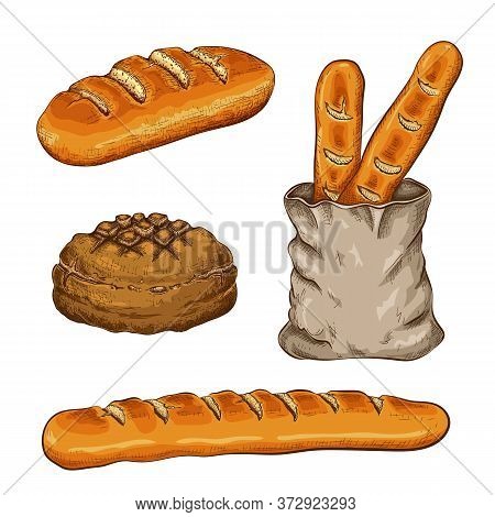 Hand Drawn Breads Set Isolated On White. Vector Vintage Illustration Of Variety Bread Like French Ba
