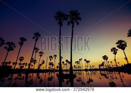 Palm Trees Are Reflecting On Water At Sunrise Timing Under Colorful Sky Located North Of Thailand