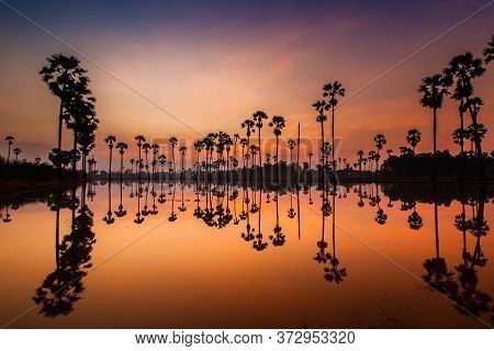 Palm Trees Are Reflecting On Water At Sunrise Timing Under Colorful Sky Located North Of Thailand